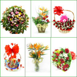 FLORICULTURAS Azurita, cestas de café da manhã e coroas de flores